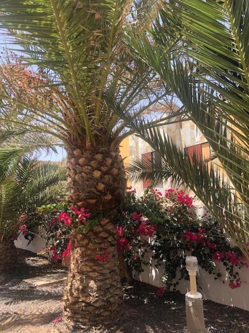 Cheers On Fuerteventura Apartment Costa De Antigua Exterior photo